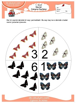 Çocuklar İçin Sayılar Çalışma Sayfaları 
